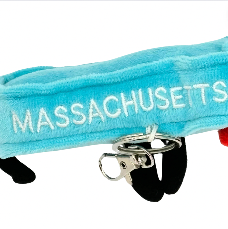 Massachusetts Mini Stuffed Bag Charms/Keychains