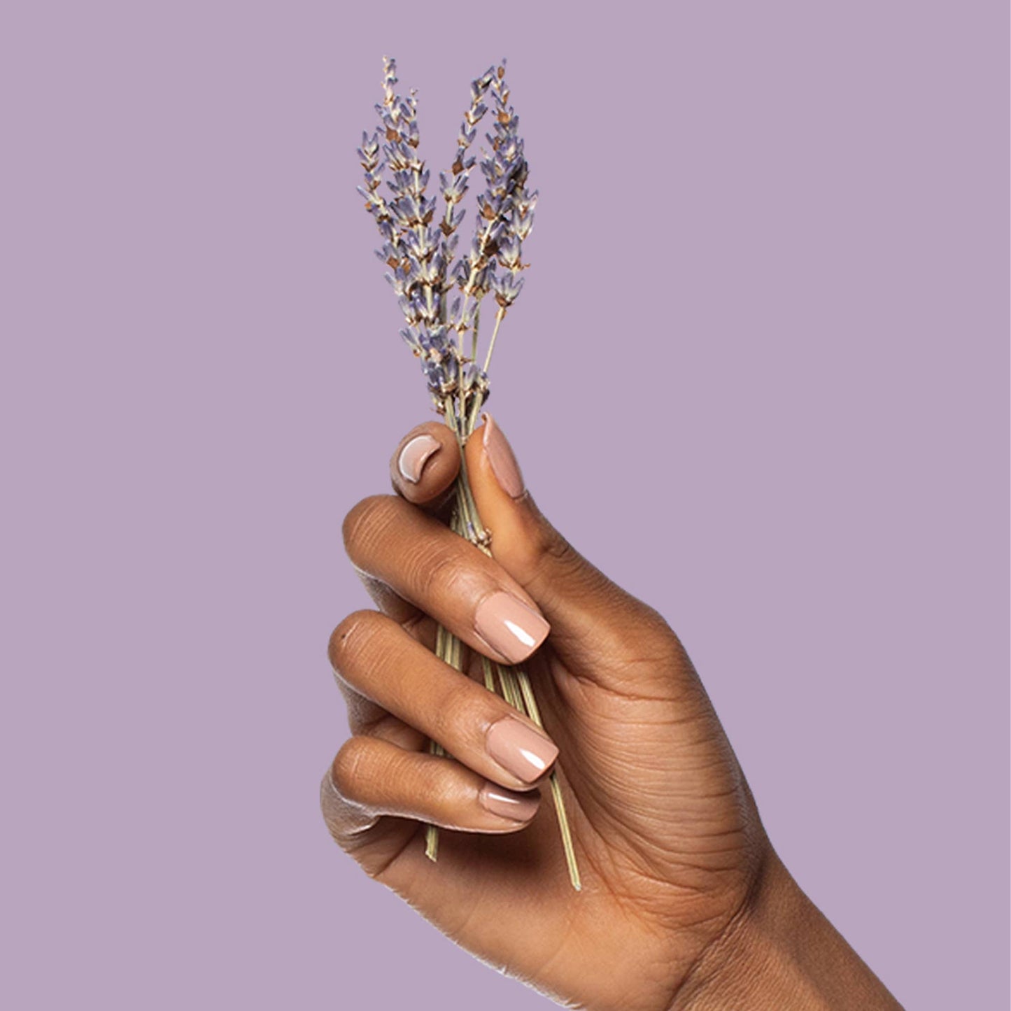 ~Pourri - Poo~Pourri Lavender Vanilla 2oz boxed: Lavender + Vanilla + Citrus