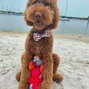 Spunky Pup - Clean Earth Recycled Plush Toys - 100% Sustainable: Large / Octopus