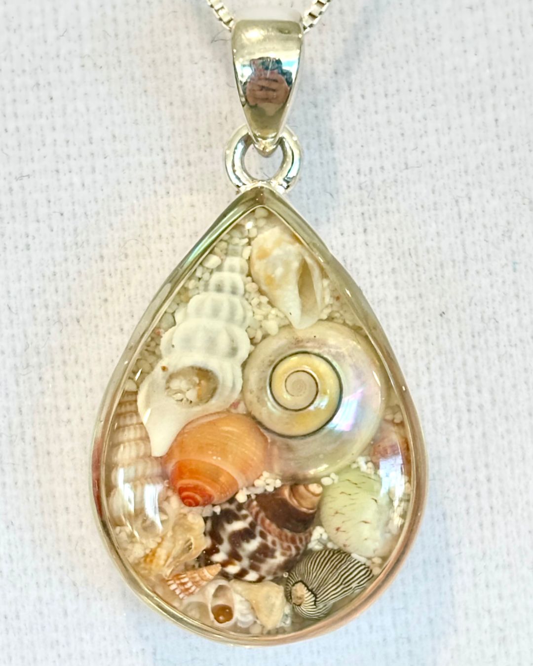 Dune Shell Scape Teardrop Necklace