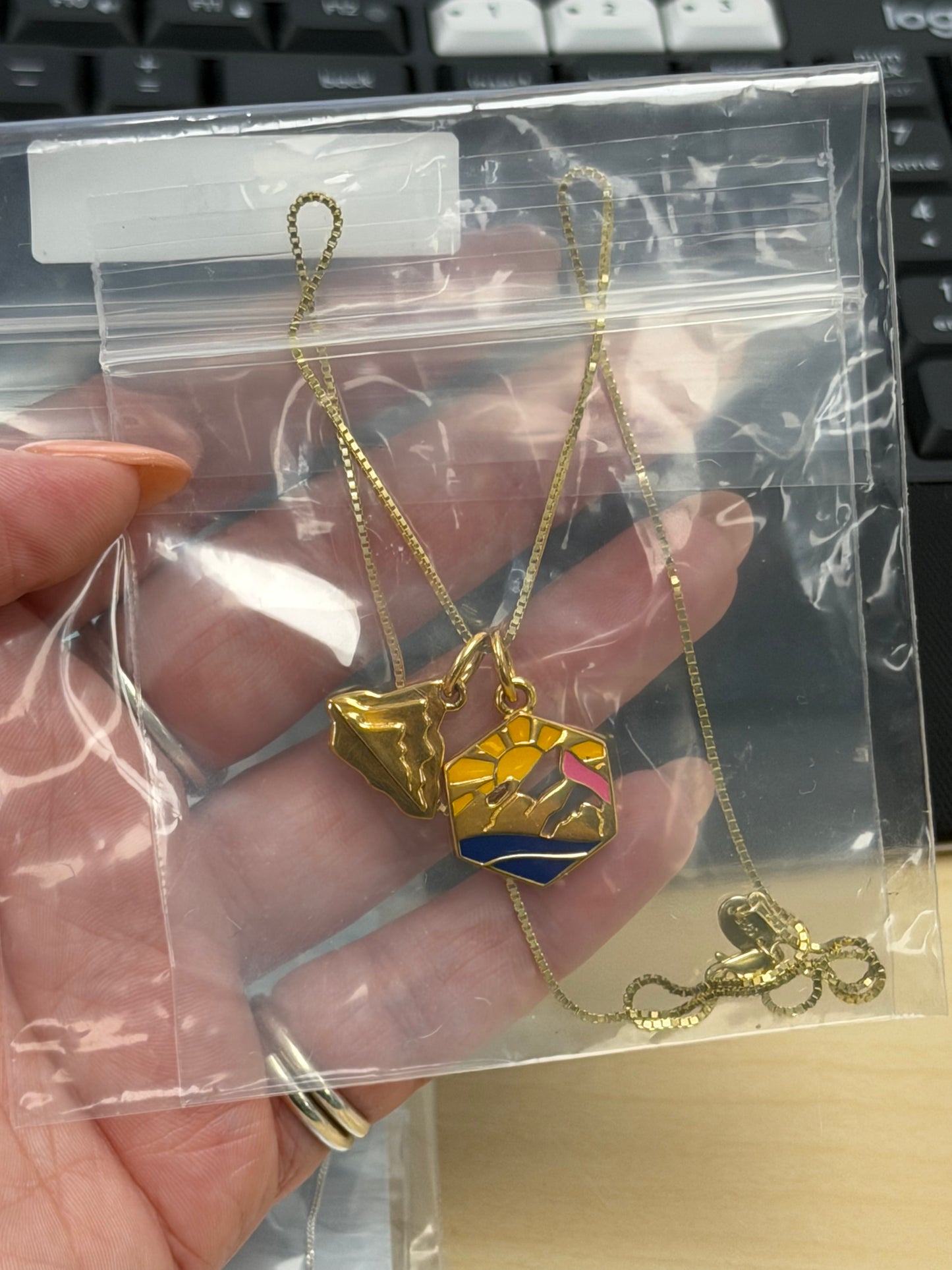 Sample Sale Necklace