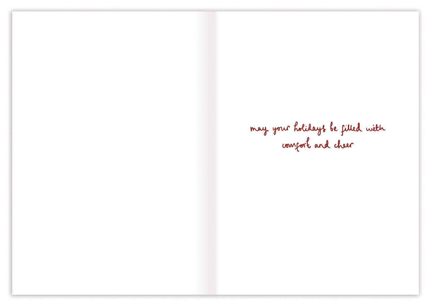 Biely & Shoaf - Animals In Stockings Christmas Holiday Card