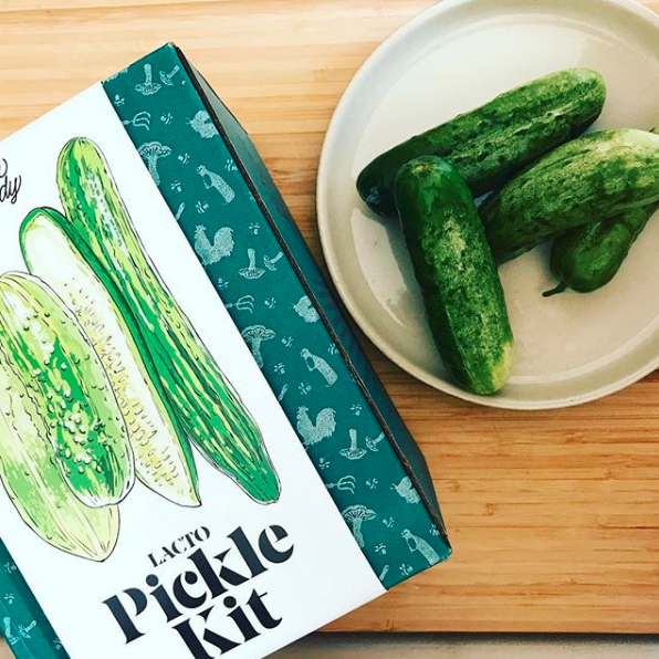 FarmSteady - Pickle Making Kit