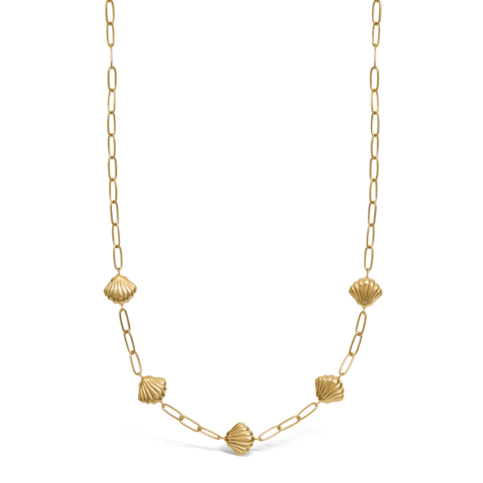 Mi Tesoro - Scallop Chain Necklace - Gold