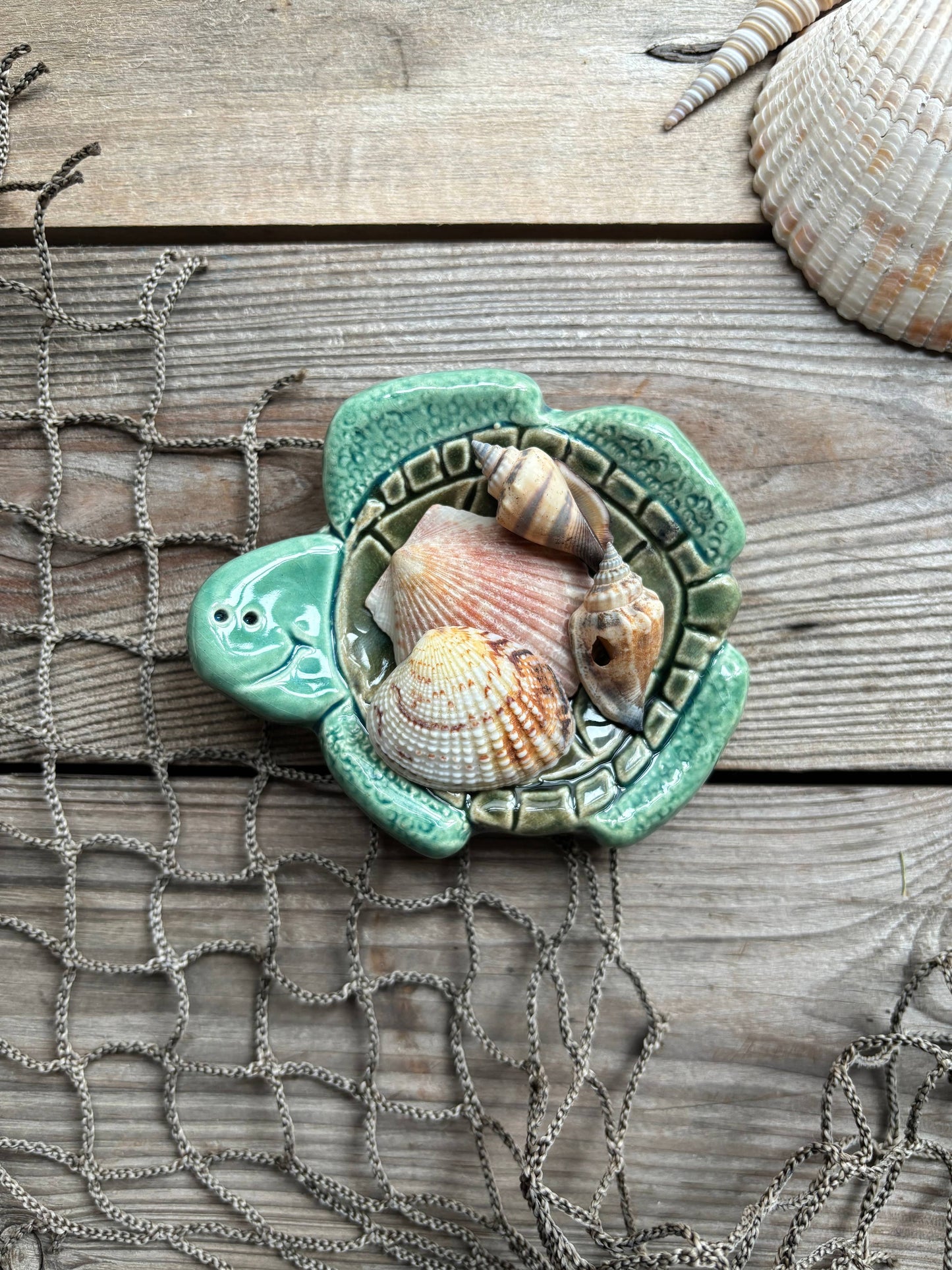 August Ceramics - Ceramic Sea Turtle Dish