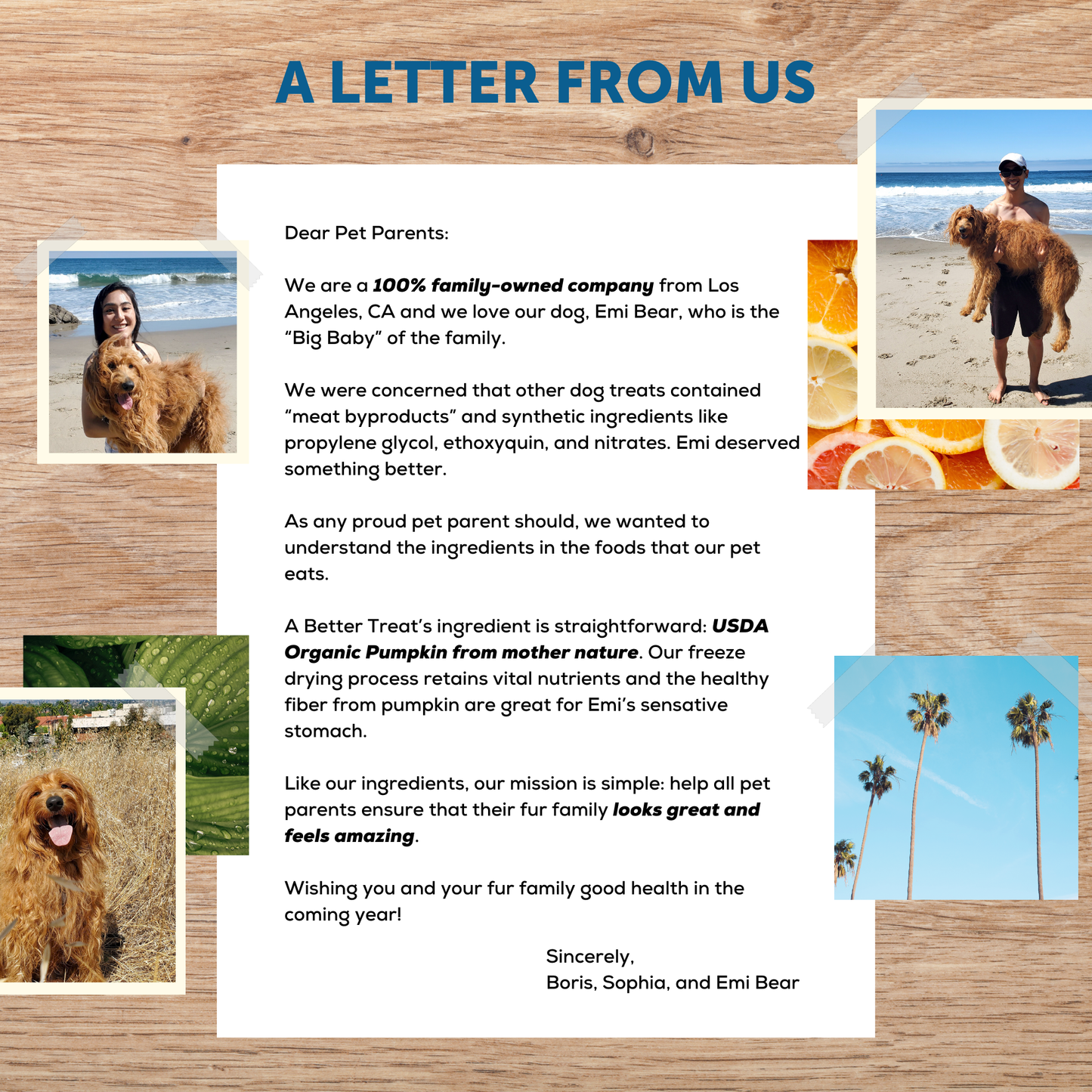 A Better Treat - Organic Freeze Dried Pumpkin Dog and Cat Treats