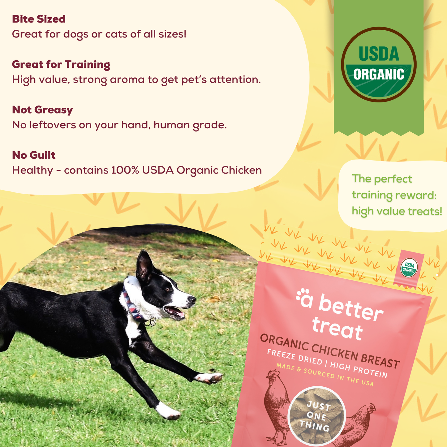 A Better Treat - Organic Freeze Dried Chicken Breast Dog and Cat Treats