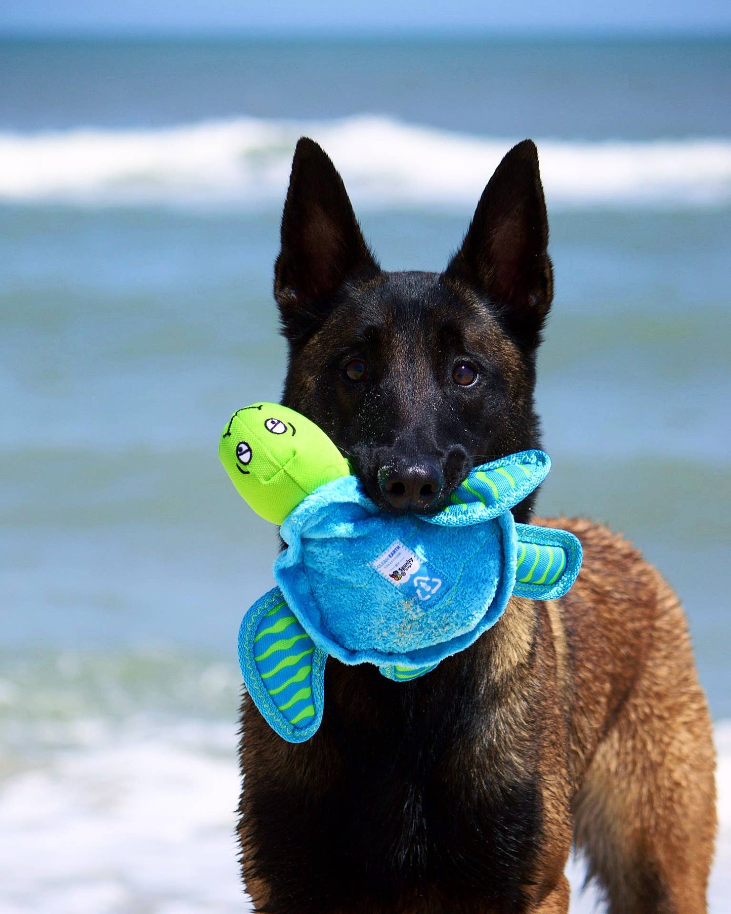 Spunky Pup - Clean Earth Recycled Plush Toys - 100% Sustainable: Large / Turtle