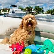 Spunky Pup - Clean Earth Recycled Plush Toys - 100% Sustainable: Large / Octopus