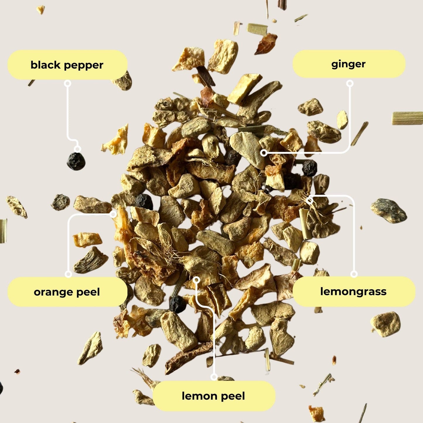 Tea with Tae - Lemon Ginger Herbal Mini Tube Gift (5 tea bags)