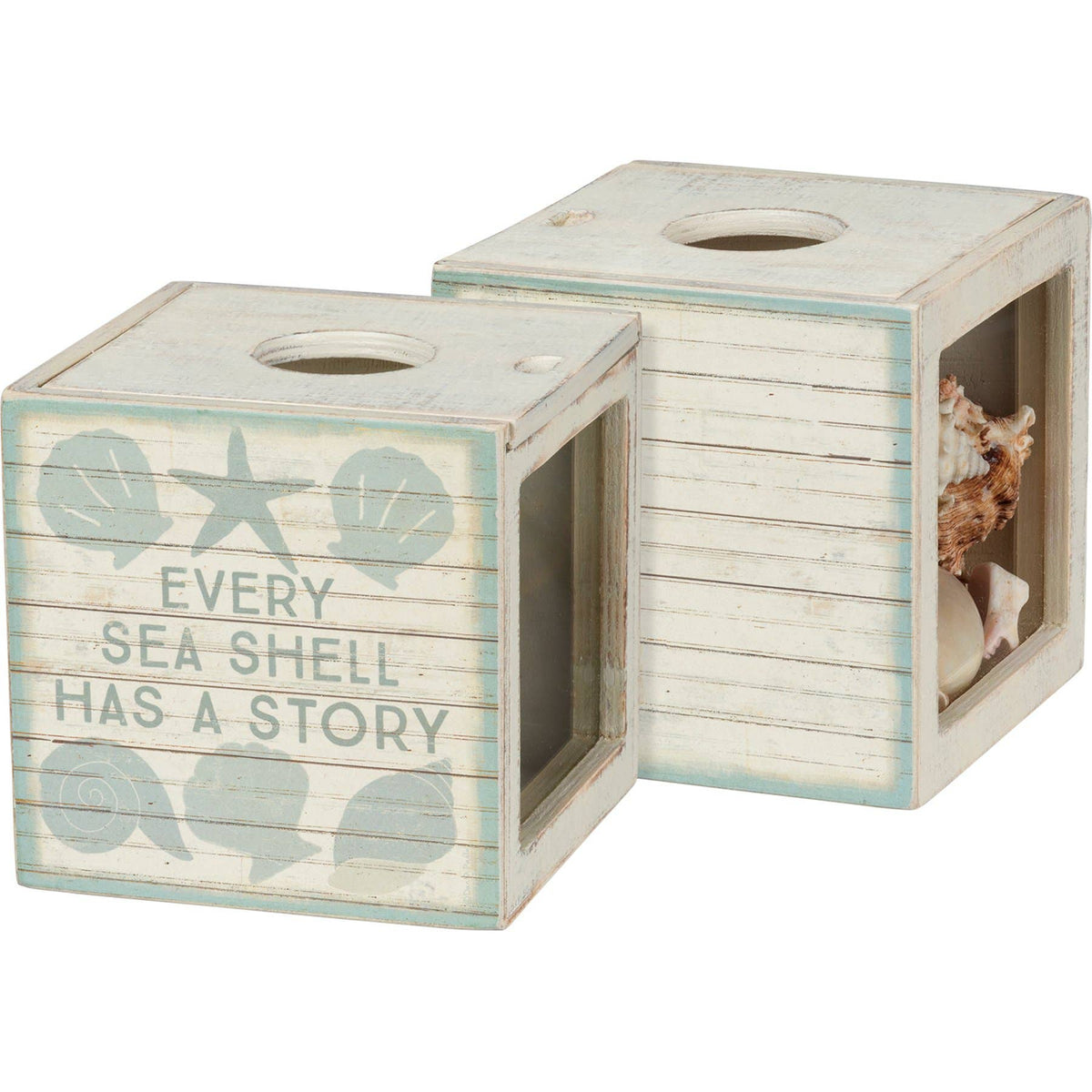 Primitives by Kathy - Sea Shell Has A Story Rustic Shell Holder