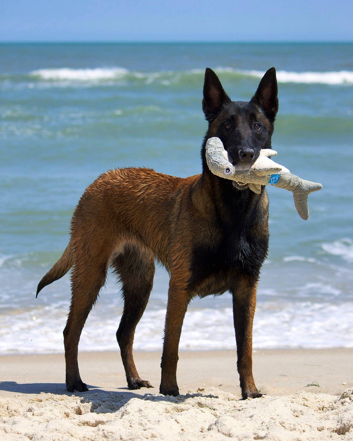 Spunky Pup - Clean Earth Recycled Plush Toys - 100% Sustainable: Large / Octopus