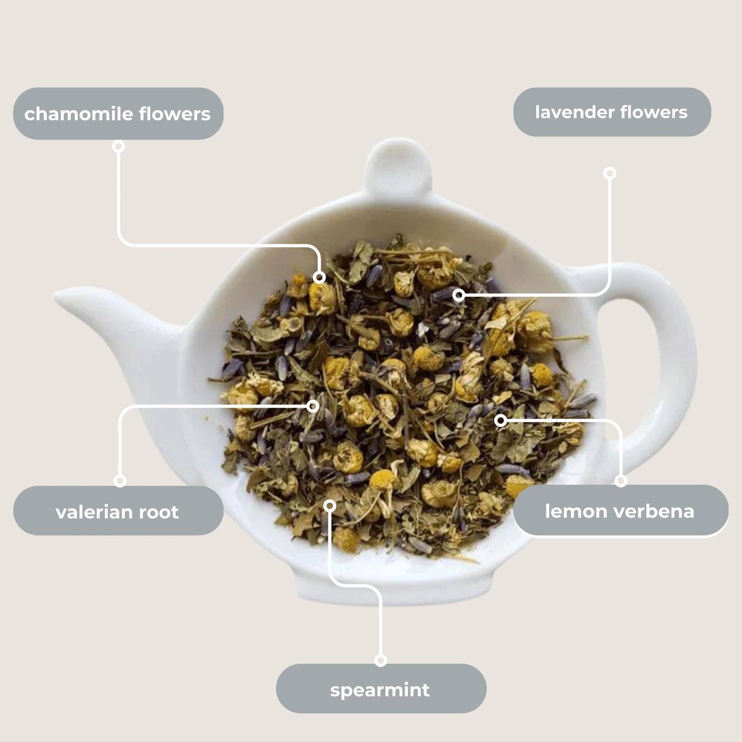 Tea with Tae - Nighttime Routine Sleep Tea Mini Tube Gift (5 tea bags)