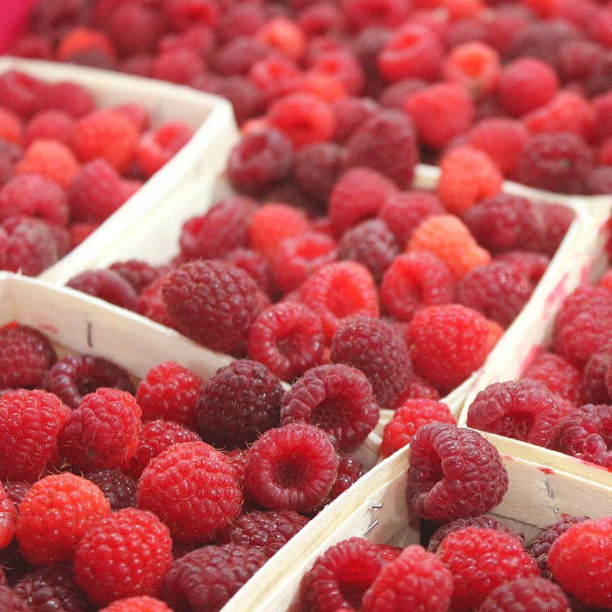 Blake Hill Preserves - Naked Chocolate Raspberry Spread