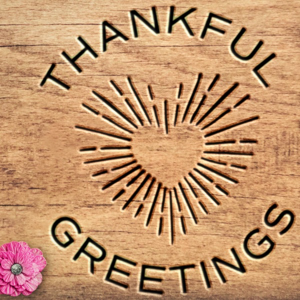 Thankful Greetings - 2" Matches + Mini Cloche -  Hot Pink