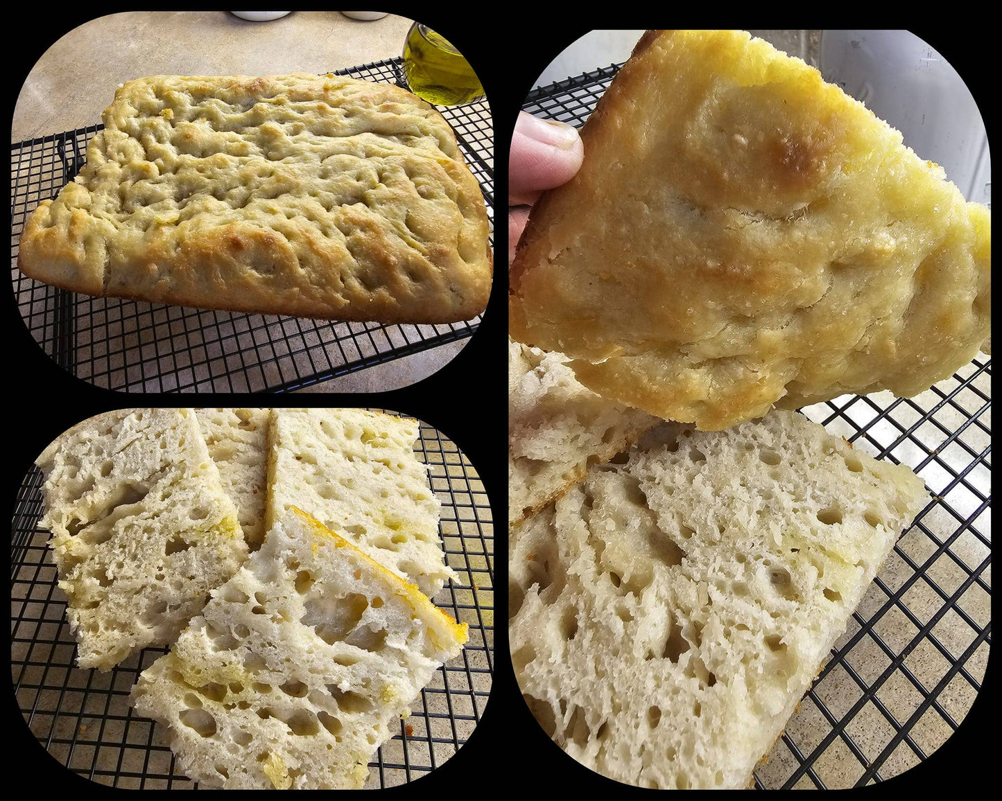 Cherished & Free - Sourdough starter kits: Small