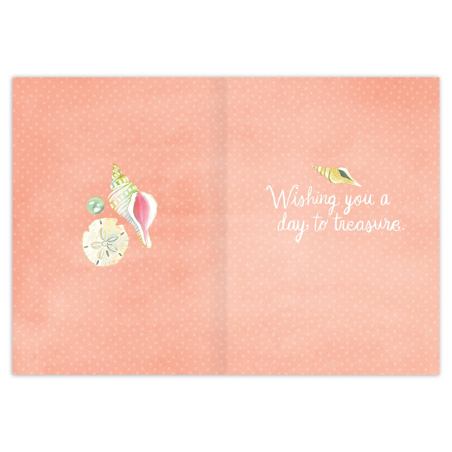 Biely & Shoaf - Seashell Treasures Birthday Card