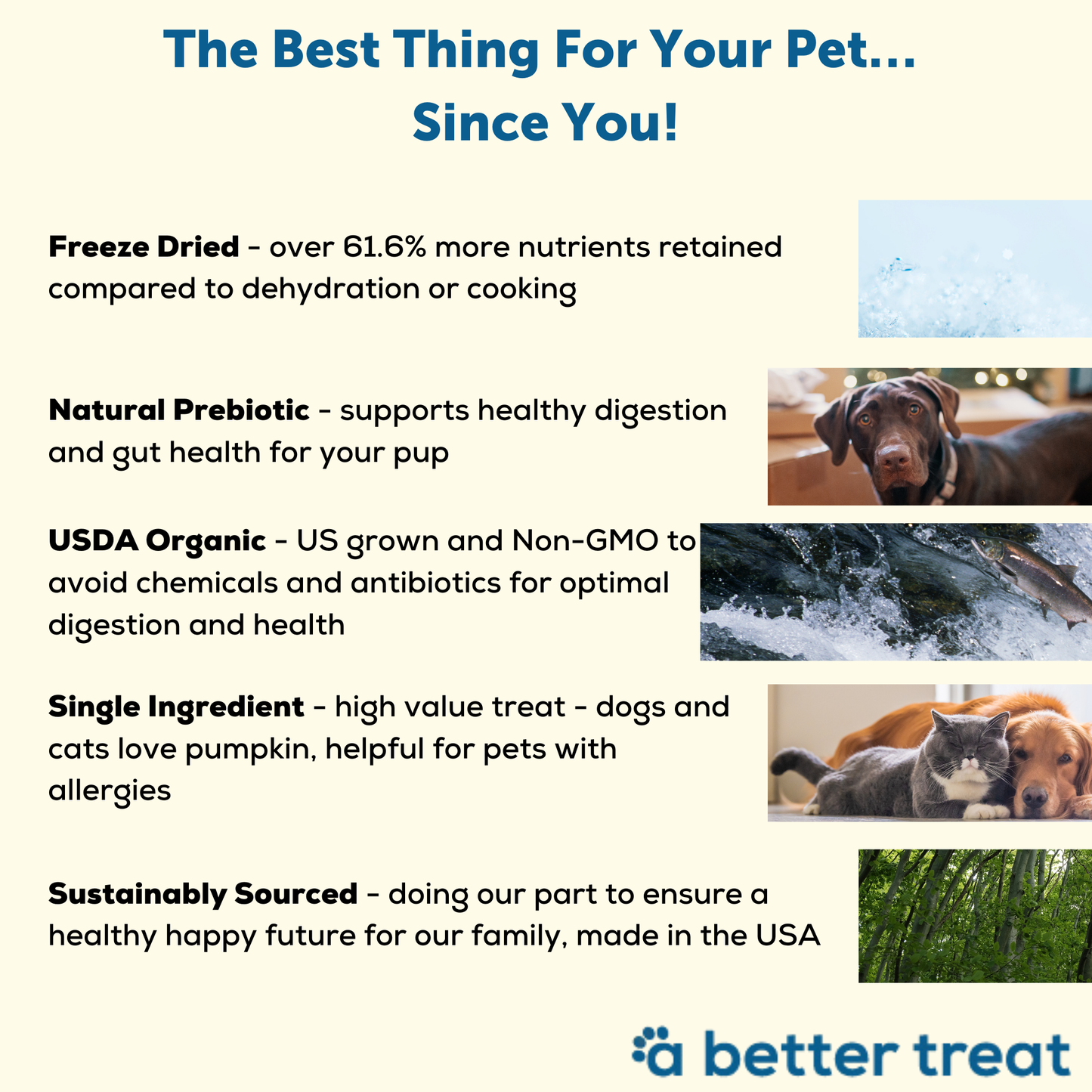 A Better Treat - Organic Freeze Dried Pumpkin Dog and Cat Treats