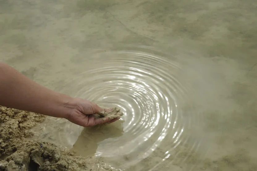 Circe's Secret - French Green Clay Mask