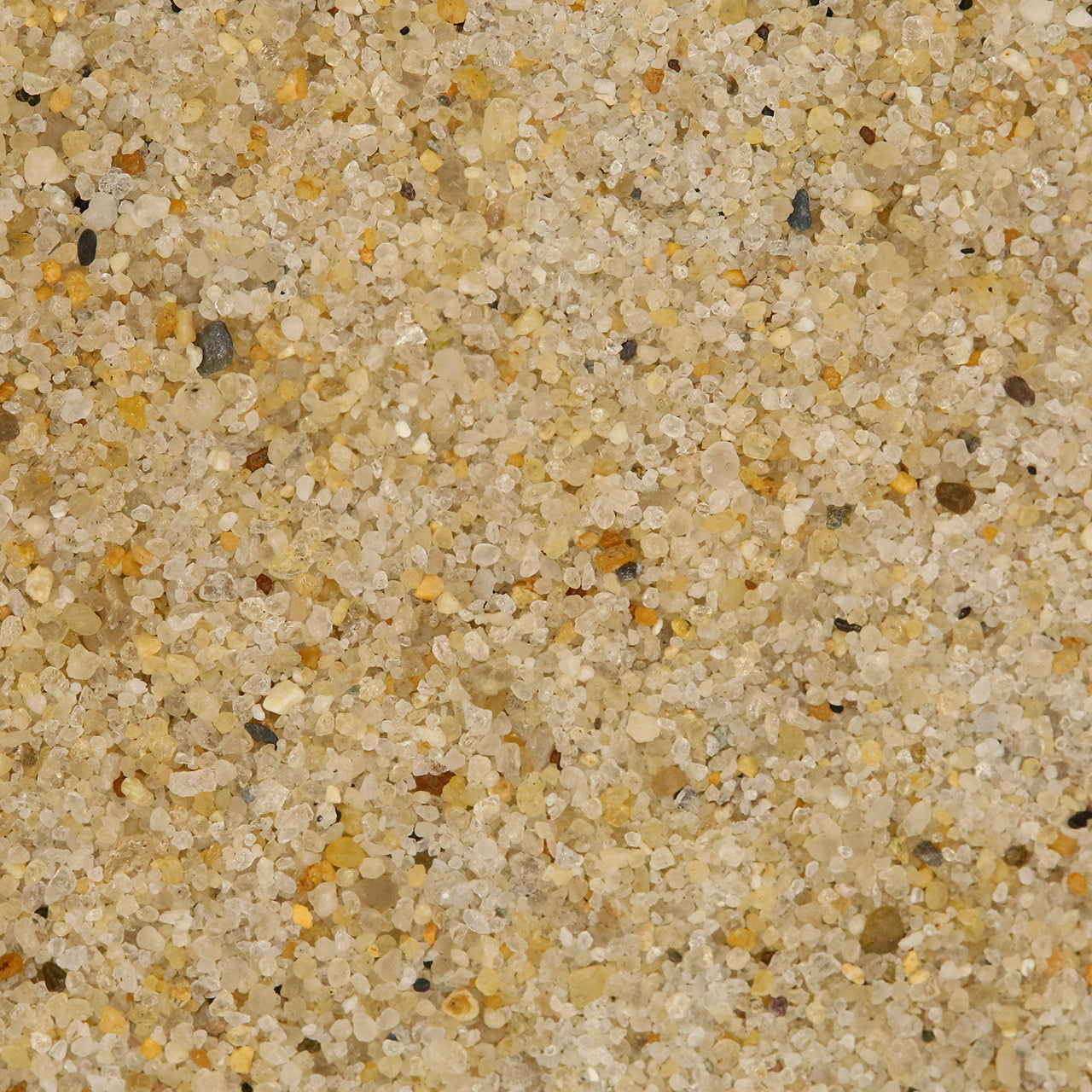 Ebb & Flow Cuff Bracelet - Abalone & Beaches of Cape Cod