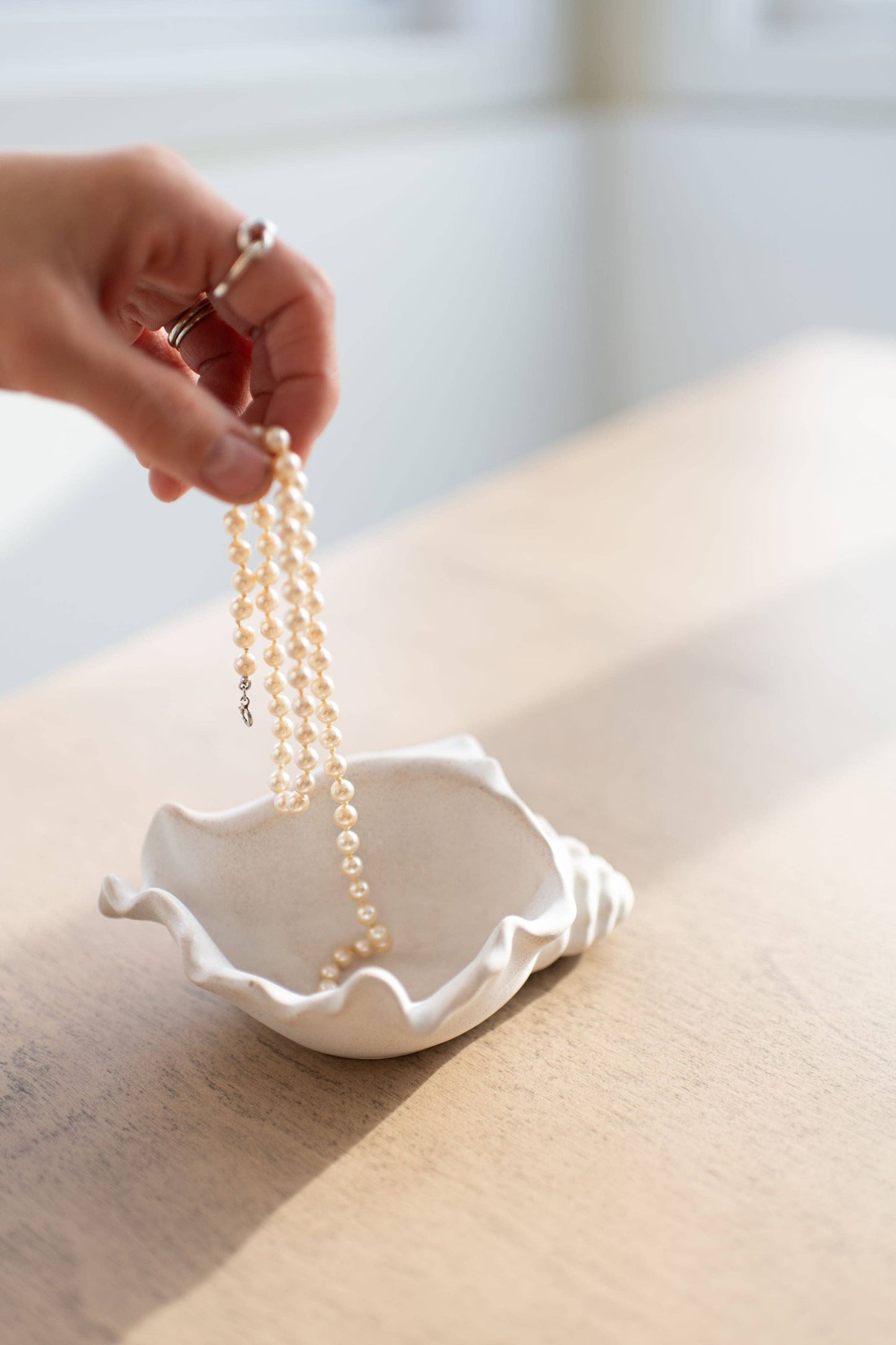 Shoreline Trinket Trays - Conch Shell