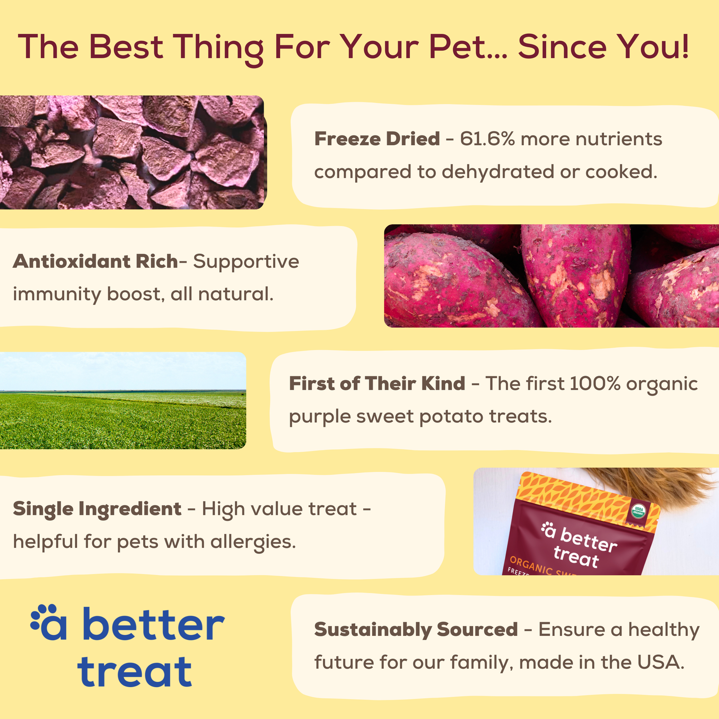 A Better Treat - Organic Freeze Dried Purple Sweet Potato Dog and Cat Treats