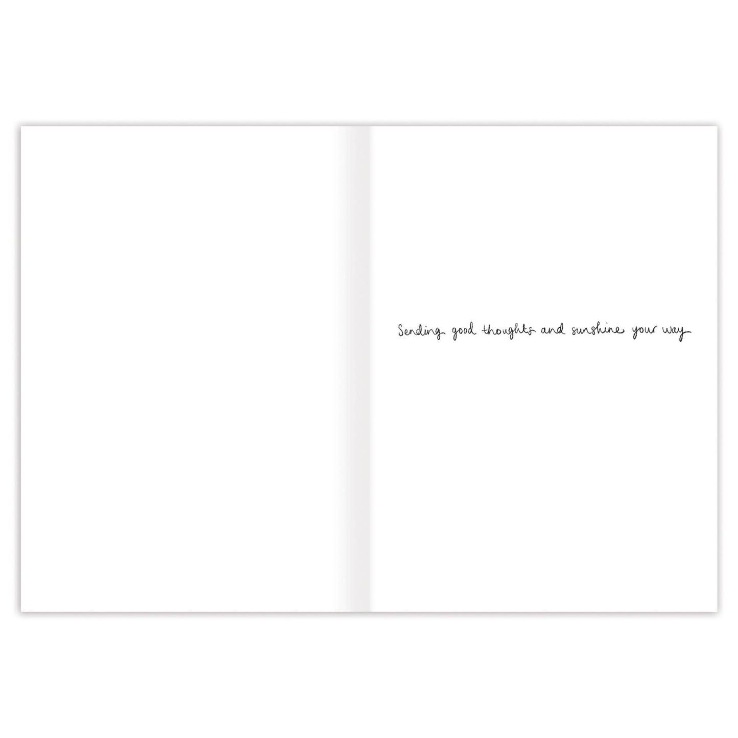 Biely & Shoaf - Garden Get Well Card