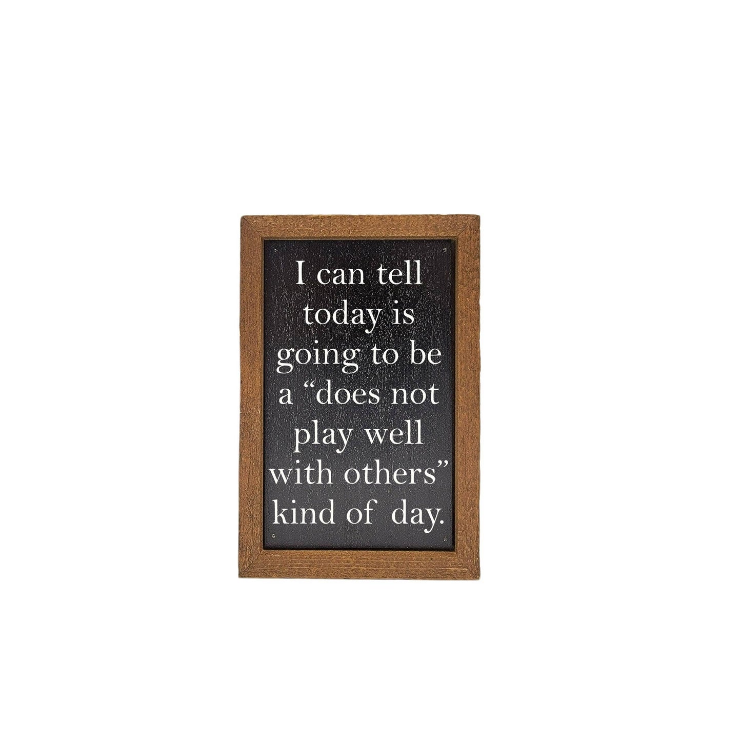 Does Not Play Well With Others Funny Decor - 6X4 Desk Sign