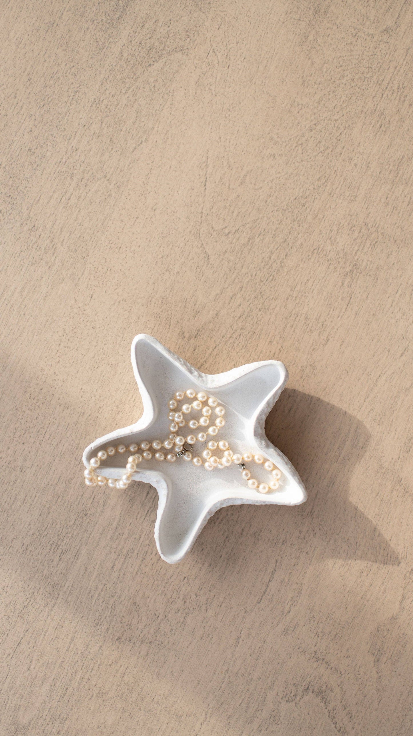 Shoreline Trinket Trays - Star Fish