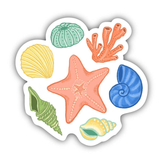 Big Moods - Starfish & Shells Sticker