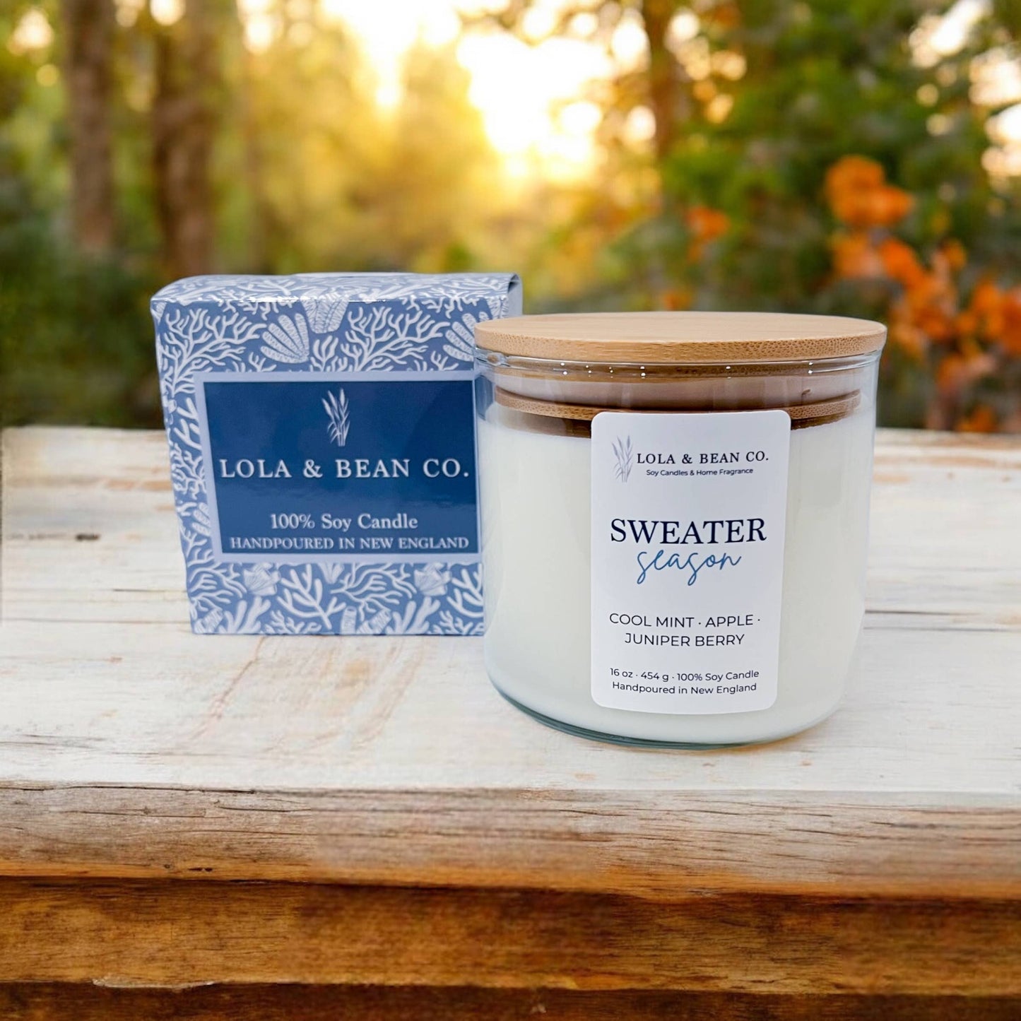 3 wick soy candle | 16 oz: Cape Cod Summer