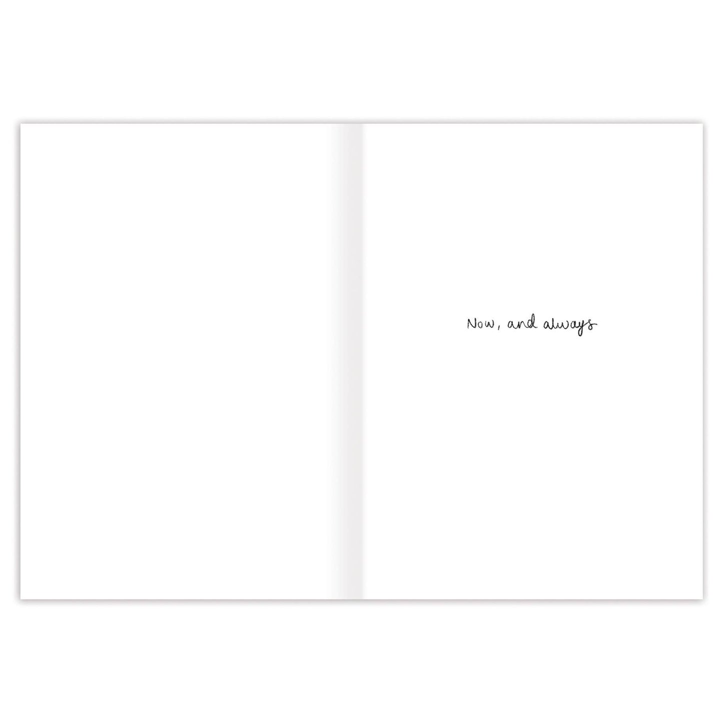 Biely & Shoaf - Turtley In Love Anniversary Card