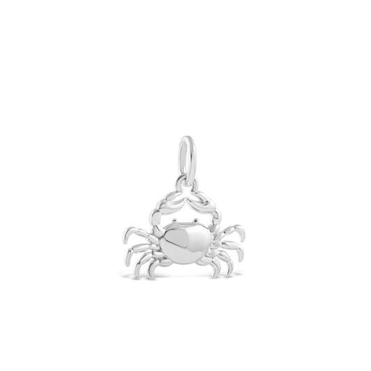 Dune Jewelry -Collectible Travel Treasures Crab Charm