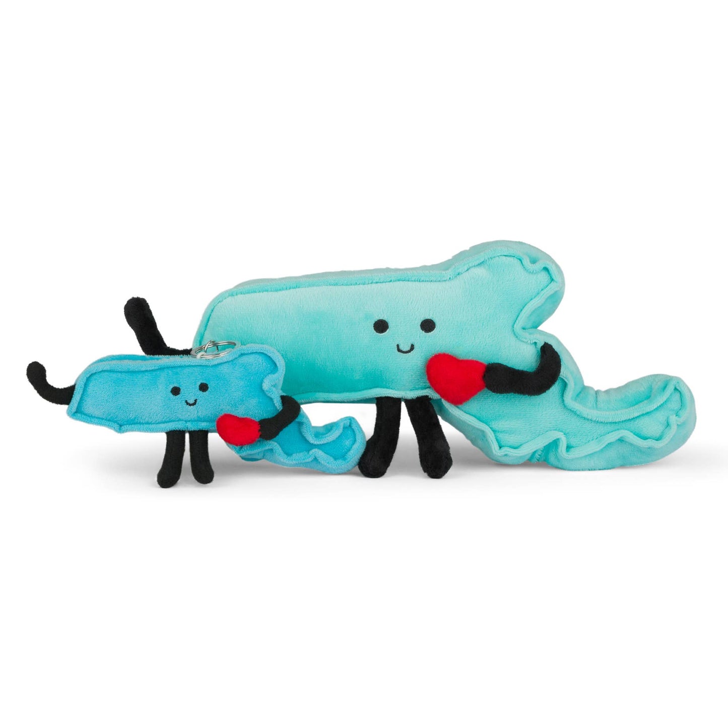 Massachusetts Mini Stuffed Bag Charms/Keychains