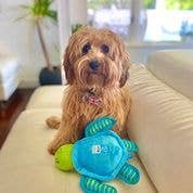 Spunky Pup - Clean Earth Recycled Plush Toys - 100% Sustainable: Large / Starfish