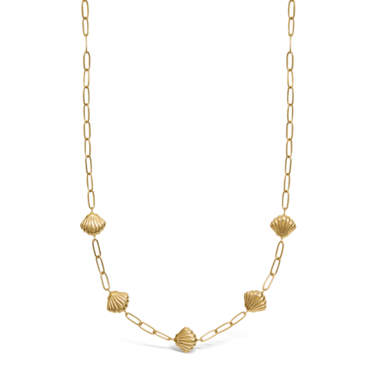 Mi Tesoro - Scallop Chain Necklace - Gold