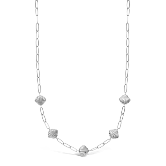 Mi Tesoro - Scallop Chain Necklace - Silver