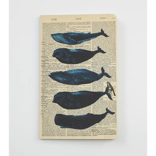 Whales Notebook