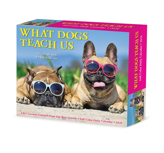 What Dogs Teach Us 2024 Box Calendar